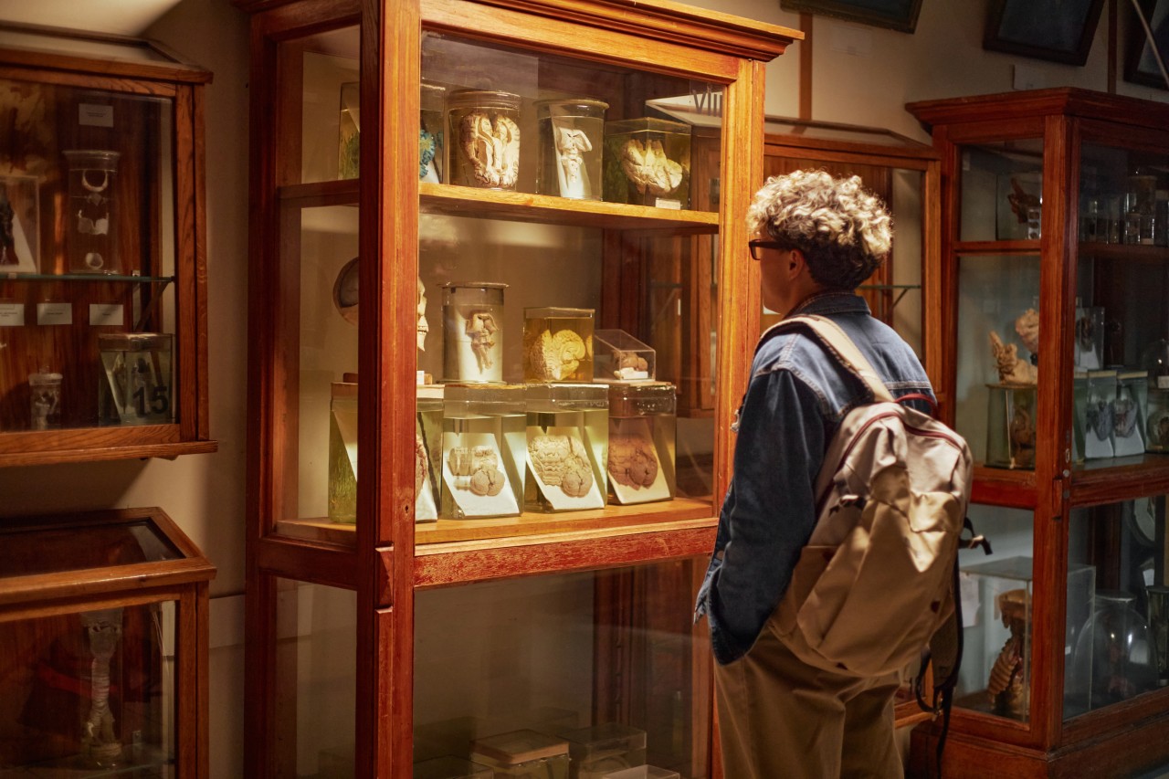 Alberni Valley Museum
