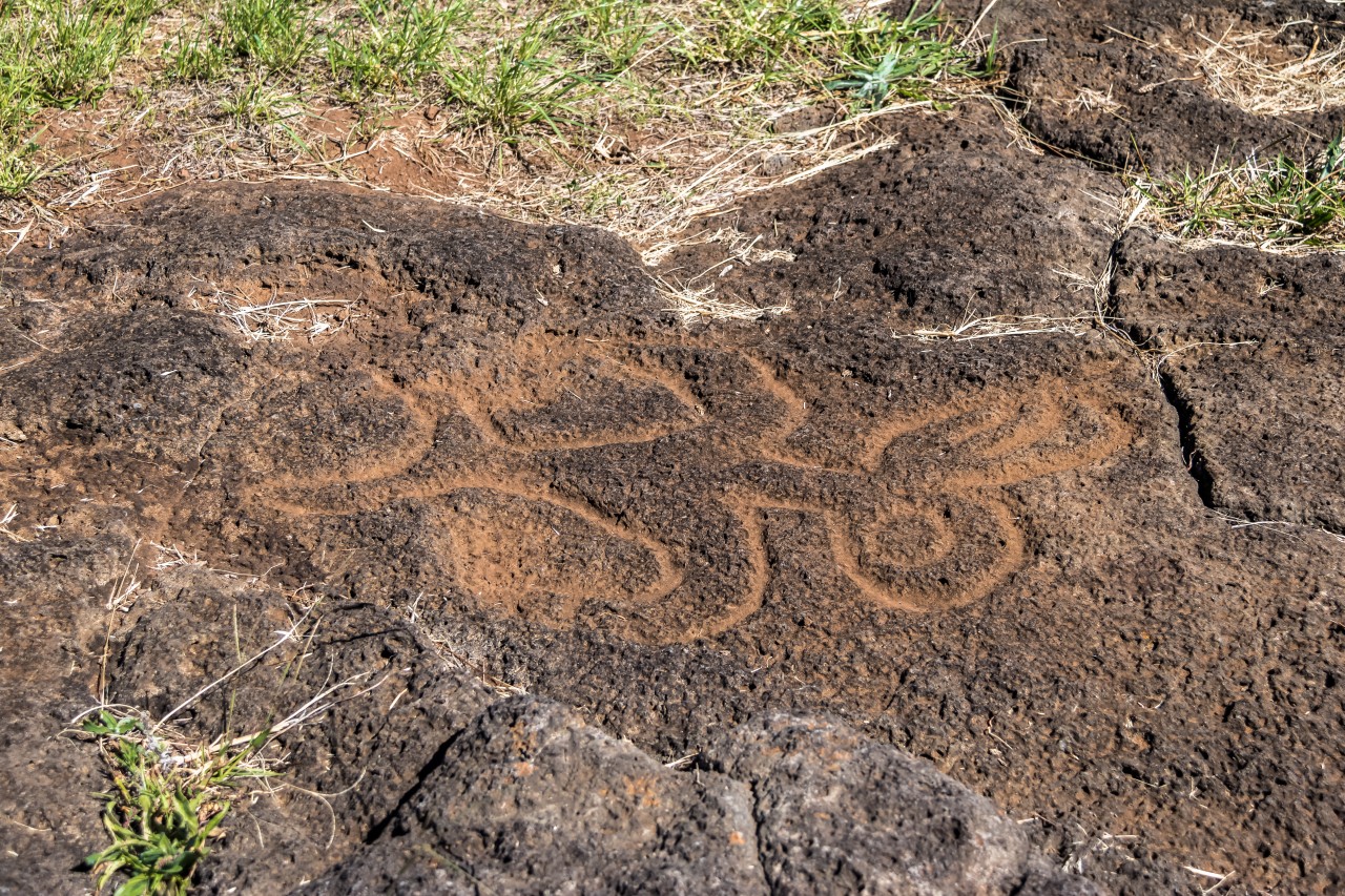 Petroglyphs at Sproat Lake